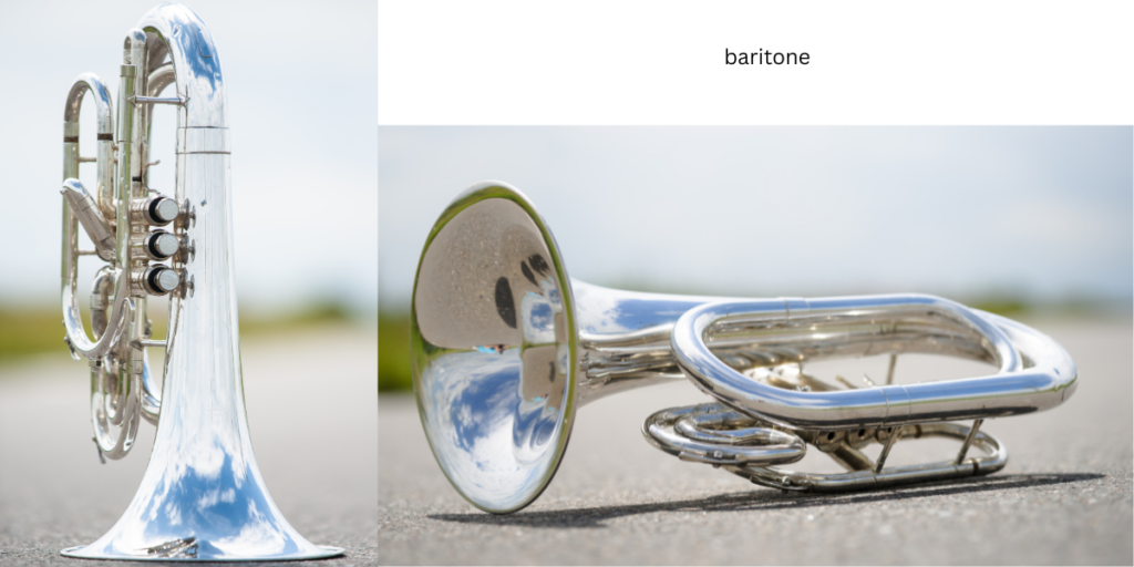 Collage of baritone pictures