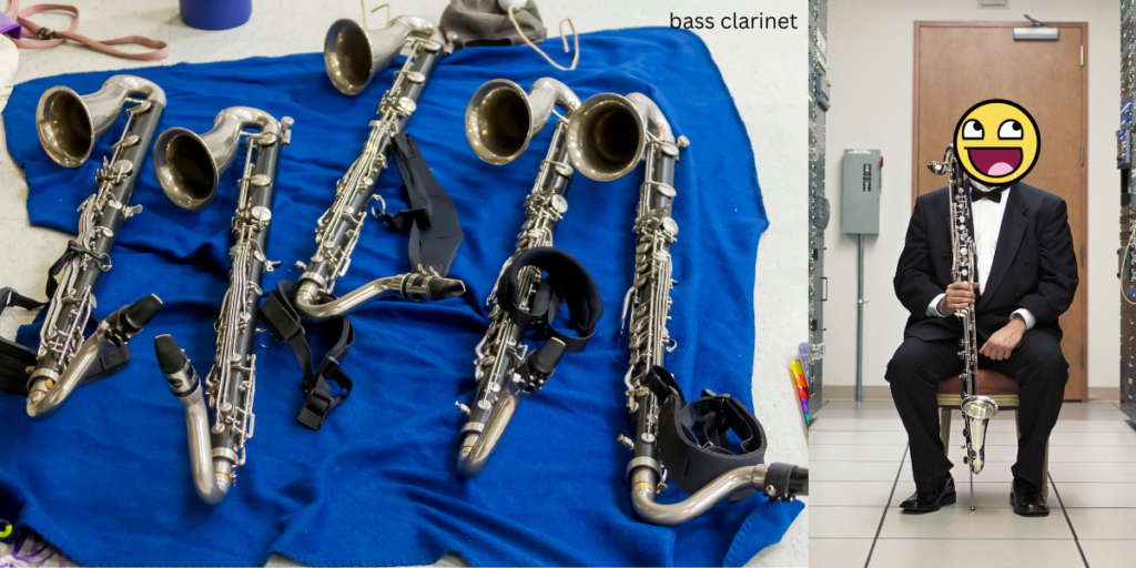 Collage of bass clarinet pictures.