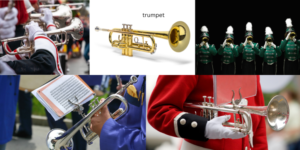 Collage of trumpet pictures