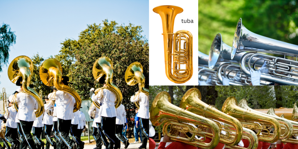 Collage of tuba pictures